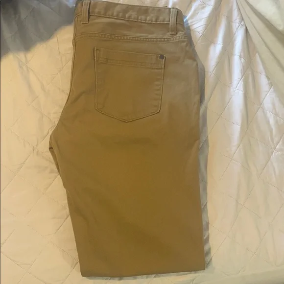 Mens Marc Anthony Pants